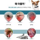 더힐링센터