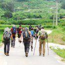 대강면 송내마을 이미지