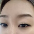 바이슨 | 대구 속눈썹 연장 바이슨 :) 내돈내산 후기