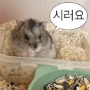 브레이크타임 이미지