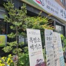 약초원 | 제로! 줄 서서 먹는 보양식 명가 '약초원' 염소탕 & 염소무침 내돈내산 솔직후기 (feat. 효능, 주차 팁)