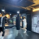 복서(BOXER) 삼성센터 이미지