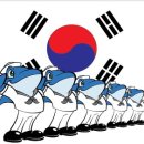 해군동지회 동해지회 연혁(2017년도) 이미지