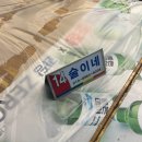 일산해수욕장8(수산물판매센터근처) | [울산/동구] '일산수산물판매센터' 일산지 오션뷰 노상 회센터 (+주차장, 영업시간, 향미 초장)