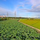 금강마을경로당 이미지