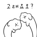 가야의료기상사 이미지