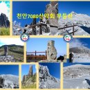 천안7080산악회 제 328차 정기산행_광주 무등산 이미지