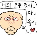 어반동물병원 이미지