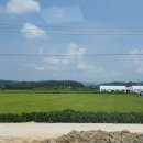 진덕농장 이미지