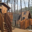 노원골유아숲 이미지