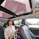 태양자동차 이미지