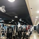 베러덴 휘트니스 이미지