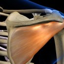 리메디얼 휘트니스 전남대점 이미지