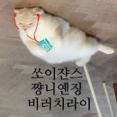 둔둔농장 이미지
