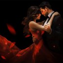 사랑의 감정..The Emotion of Love 이미지