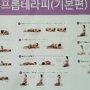 둥근힘 프롭운동 이미지