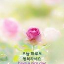 손미경 / 은혜로운 찬양곡 모음 이미지