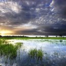 남중동-09 이미지