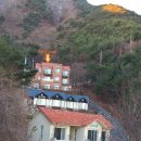 숲속의바다 바다동 이미지