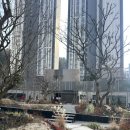 더포레스트 이미지