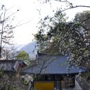 준3 태양광발전소 이미지