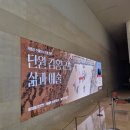 국립중앙박물관 김홍도 강연 다녀온 후기 (극장 용)