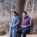 이부라더