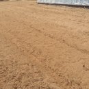 신두리농장 이미지