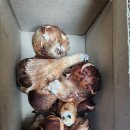 종호농장 이미지