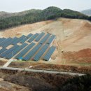 숲 태양광발전소 이미지