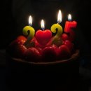 낙동놀자 이미지