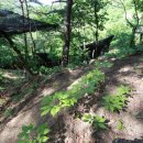 지유농장 이미지