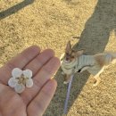 마음따뜻한방병원 | 드디어 출산! 경주 맘존여성병원 &amp; 맘존조리원 후기