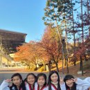 경희대박사 문무태권도장 이미지