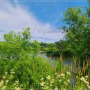 고령군 관광안내소 이미지