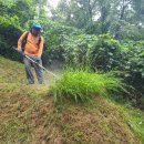 태양농원 이미지