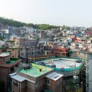 방근 이미지