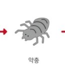 아토웰의원