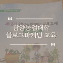별빛담은마을 이미지