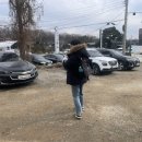 라임펫 | 손잘가는 스와니펫 강아지이동가방 라임 프론트백 치와와 후기