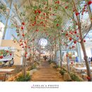 플레인(PLAIN) 이미지