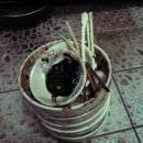 나무젓가락 이미지