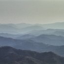 황소민박