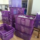 서정남로 이미지