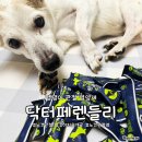 올인 | 노견 관절을 위한 닥터페렌들리 올인점프 후기