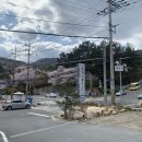 완월동118 이미지