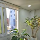 바이올린 첫 걸음 이미지