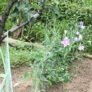 이화농장 이미지