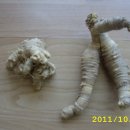 치악농장 이미지