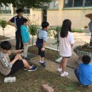 청소초등학교 이미지